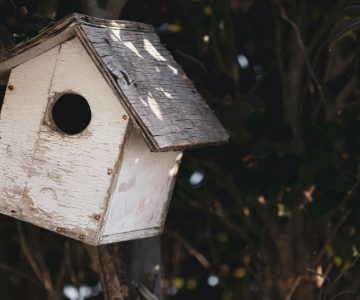 El síndrome del nido vacío: lo que no se habla y nos hace cuestionar todo