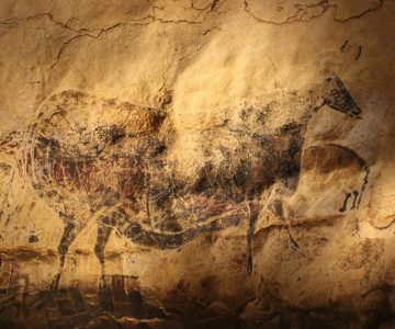 Memoria de los orígenes: construcciones, resignificaciones